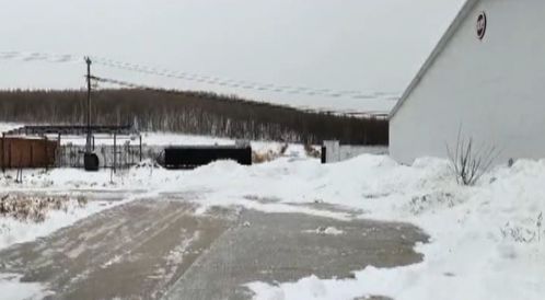 風雪同舟 畜牧部門筑牢防寒屏障，汽車裝飾業迎冬季消費熱潮